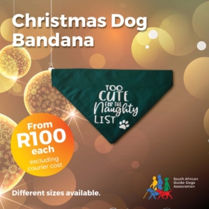 Christmas Bandana – Too Cute for the Naughty List