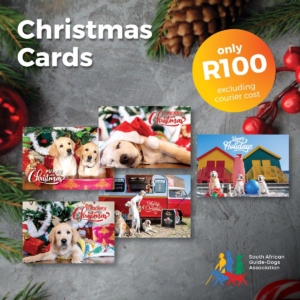 Small Christmas Card Pack